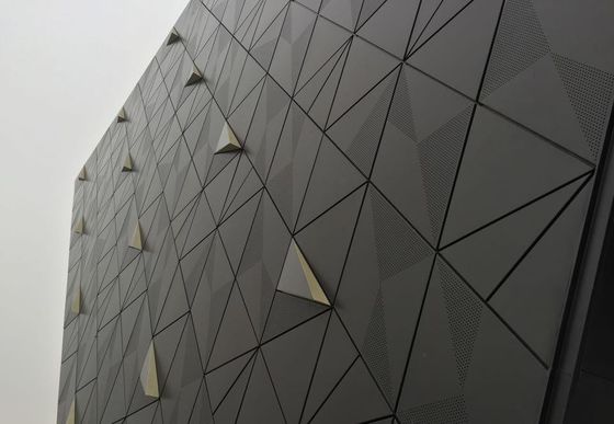 Perforacja Rozszerzona sieć metalowa do fasady Sieć pokrycia Metal Mesh Sheet Rozszerzona sieć Metalowa zasłona Panel fasady