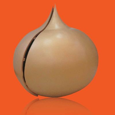 Nazwa